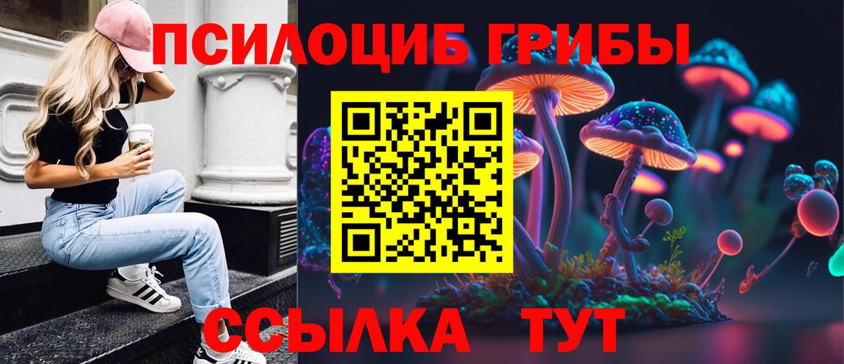 Галлюциногенные грибы Psilocybe  Галлюциногенные грибы мухоморы  Красноармейск  Вход с VPN 